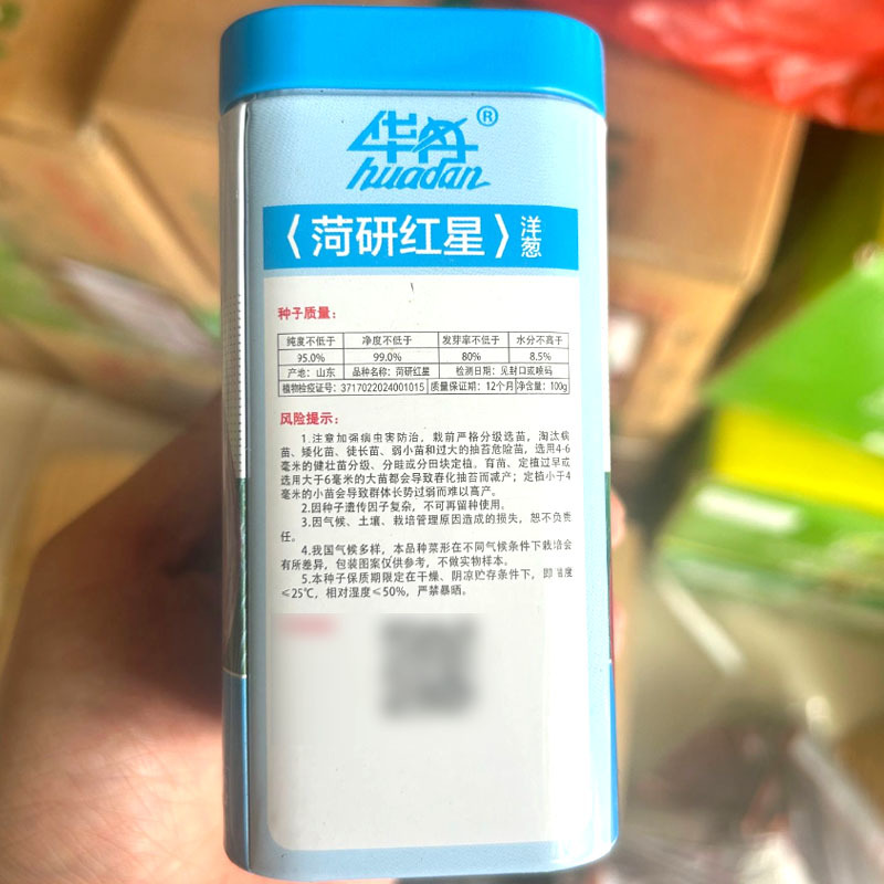 菏研早丰洋葱种子中日照红皮高桩洋葱种子近球型口感脆甜