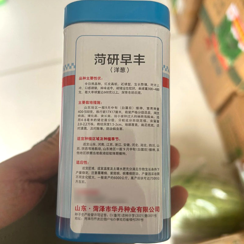 菏研早丰洋葱种子中日照红皮高桩洋葱种子近球型口感脆甜