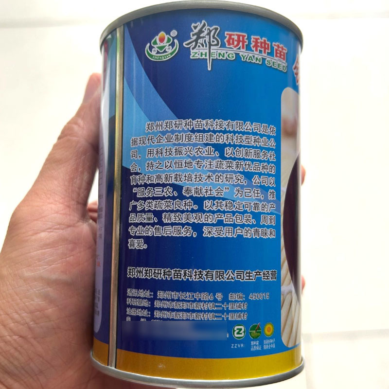钻石红洋葱种子深紫红皮半高桩品种肉质脆嫩商品率高