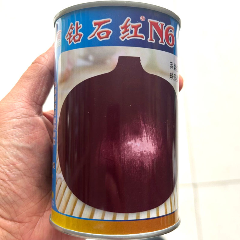 钻石红洋葱种子深紫红皮半高桩品种肉质脆嫩商品率高