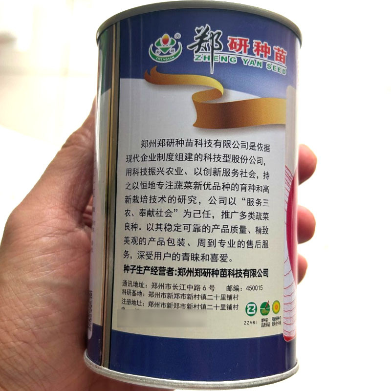 钻石红洋葱种子红皮洋葱种子鲜亮有光泽肉质脆嫩抗病