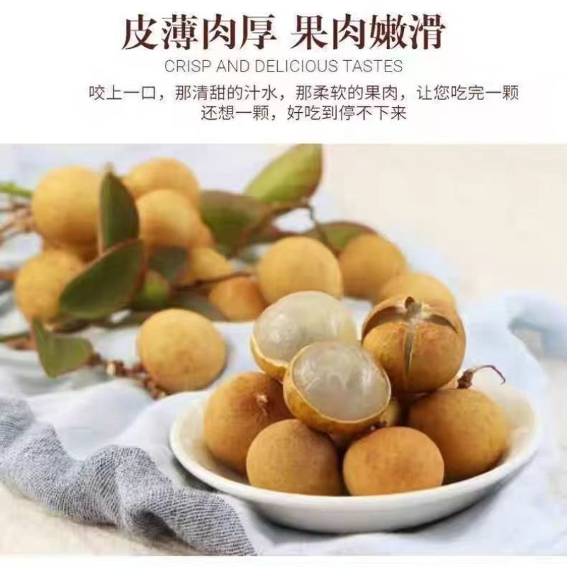 桂圆大量上市产地现摘现发核小肉多欢迎来电洽谈价优