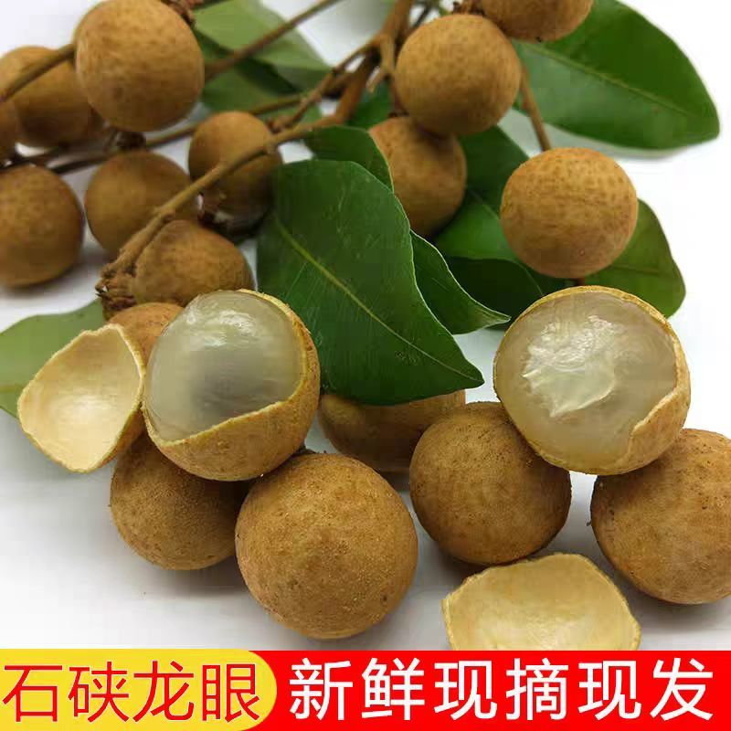 桂圆大量上市产地现摘现发核小肉多欢迎来电洽谈价优