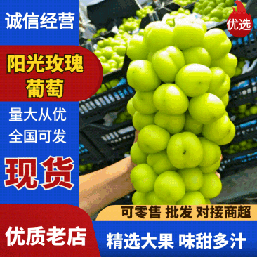 精品阳光玫瑰晴王河北产区鲜果大量上市价格便宜