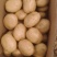黄心土豆【土豆】黄皮黄心土豆大量供应，可实地考察看货