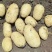 黄心土豆【土豆】黄皮黄心土豆大量供应，可实地考察看货
