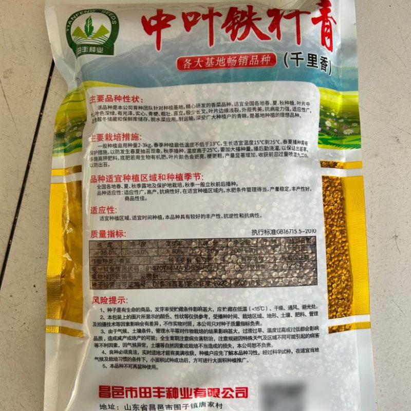 中叶铁杆青香菜种子500g抗病高产青梗实心直立香菜种子