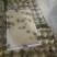济南自家养殖蟋蟀油葫芦可做宠物饲料蜥蜴变色龙守宫林蛙宠物蛇