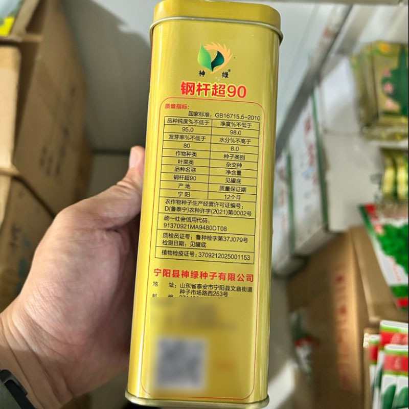 钢杆超90大葱种子葱白30-100cm耐热耐寒耐倒伏抗病