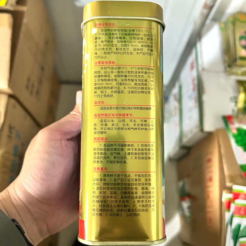 金杆大梧桐大葱种子200g叶色浓绿耐寒抗病磊田基地种植