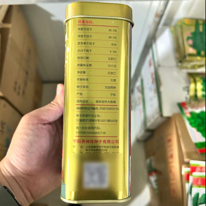 金杆大梧桐大葱种子200g叶色浓绿耐寒抗病磊田基地种植