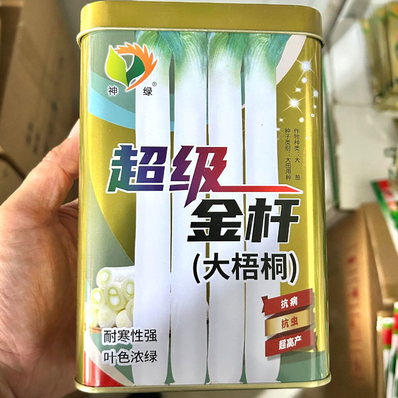 金杆大梧桐大葱种子200g叶色浓绿耐寒抗病磊田基地种植