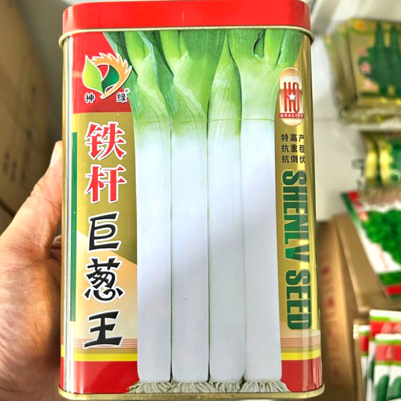 铁杆巨葱王大葱种子200g抗重茬抗倒伏抗热抗寒葱白粗壮