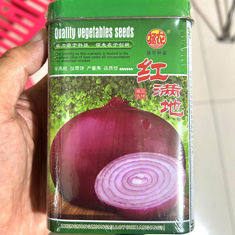 红满地洋葱种子100g半高桩加厚饼紫红色洋葱种子抗病耐抽