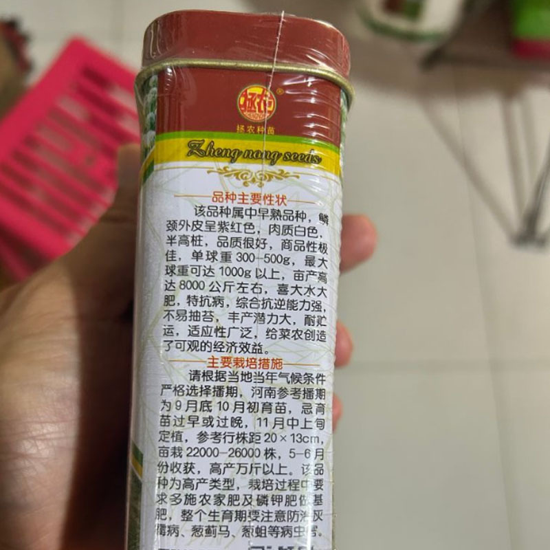 红满地洋葱种子100g半高桩加厚饼紫红色洋葱种子抗病耐抽