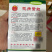 特大抗病紫红洋葱种子250g半高桩中早熟洋葱种子基地种植