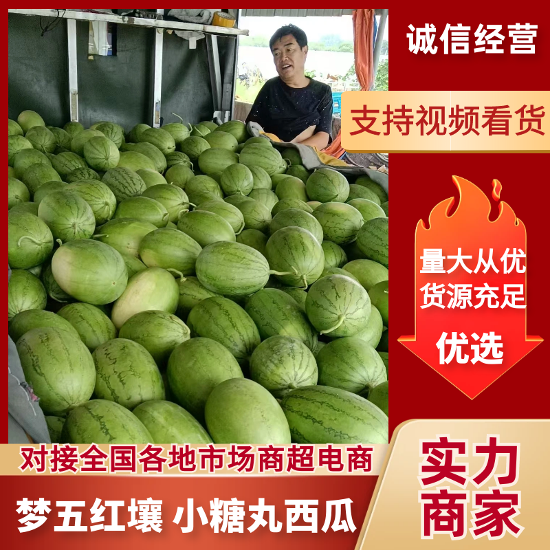 【精选】梦五红壤小西瓜小糖丸西瓜沭阳县西瓜质量三包