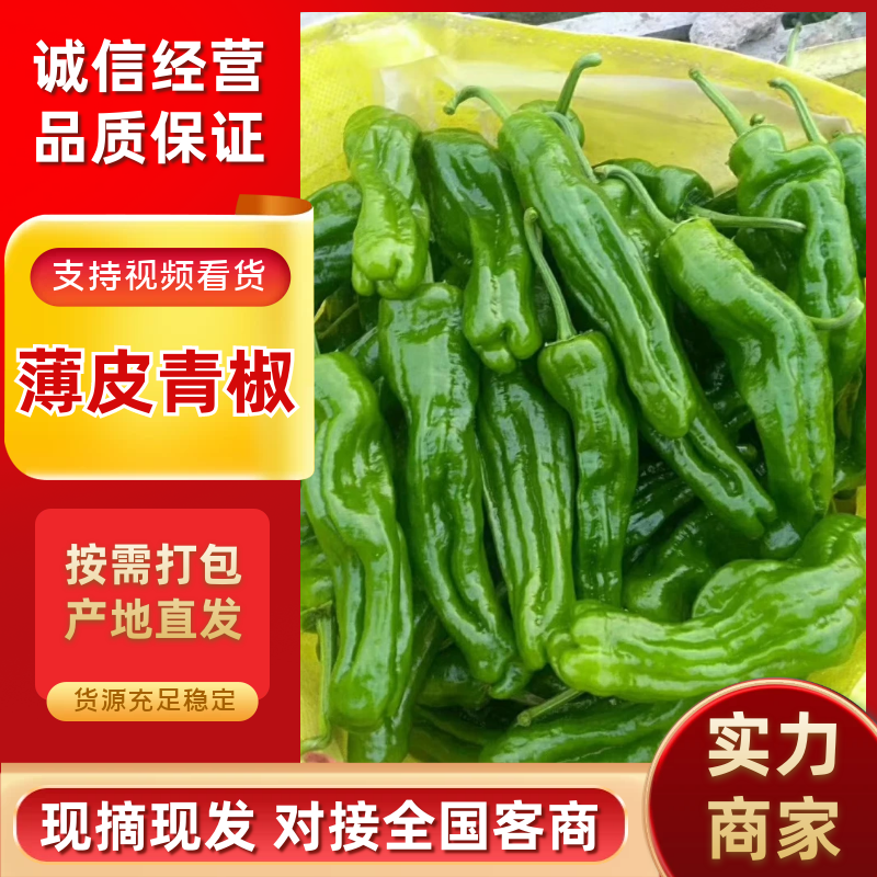 【精选】薄皮椒江苏鲜辣椒沭阳县薄皮椒货源充足质量好