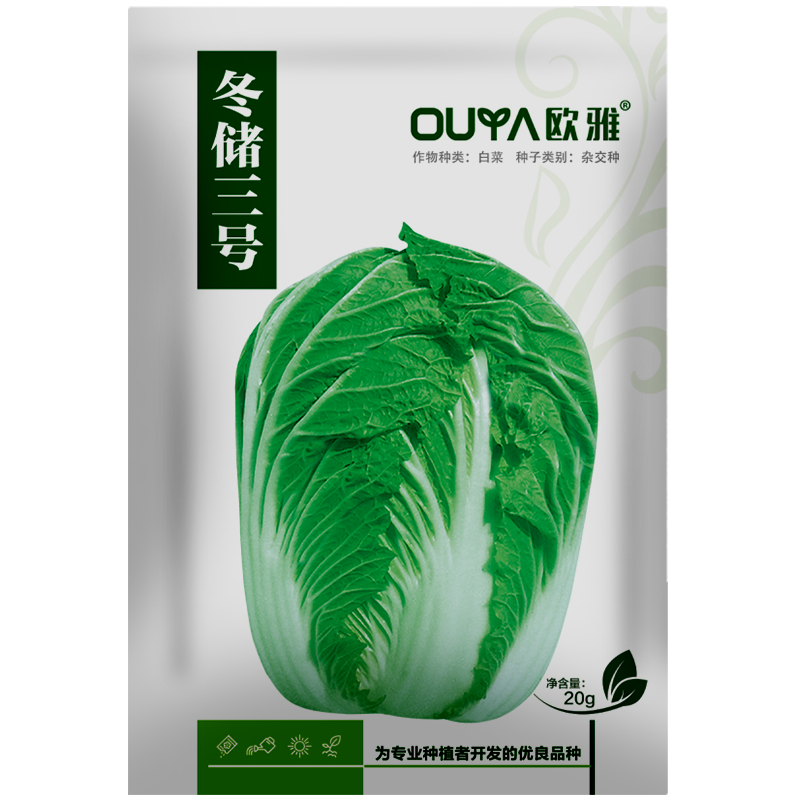 欧兰德白菜种子耐热黄心白菜种子大白菜种子籽秋黄大白菜种子
