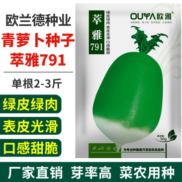 原装791罐萝卜种子秋播青萝卜种籽蔬菜种青皮绿肉萝卜籽庭