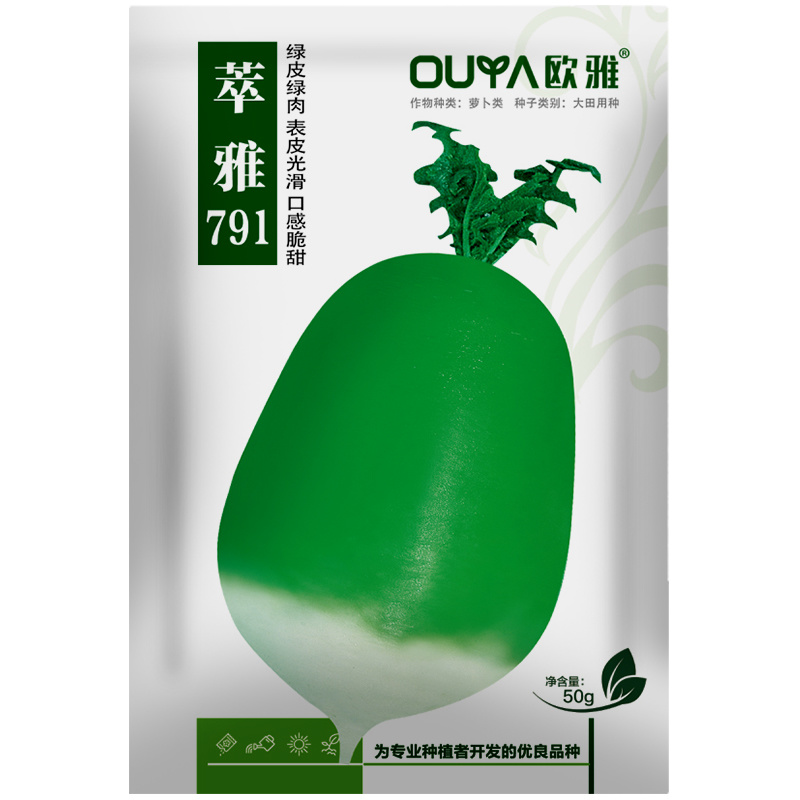 原装791罐萝卜种子秋播青萝卜种籽蔬菜种青皮绿肉萝卜籽庭