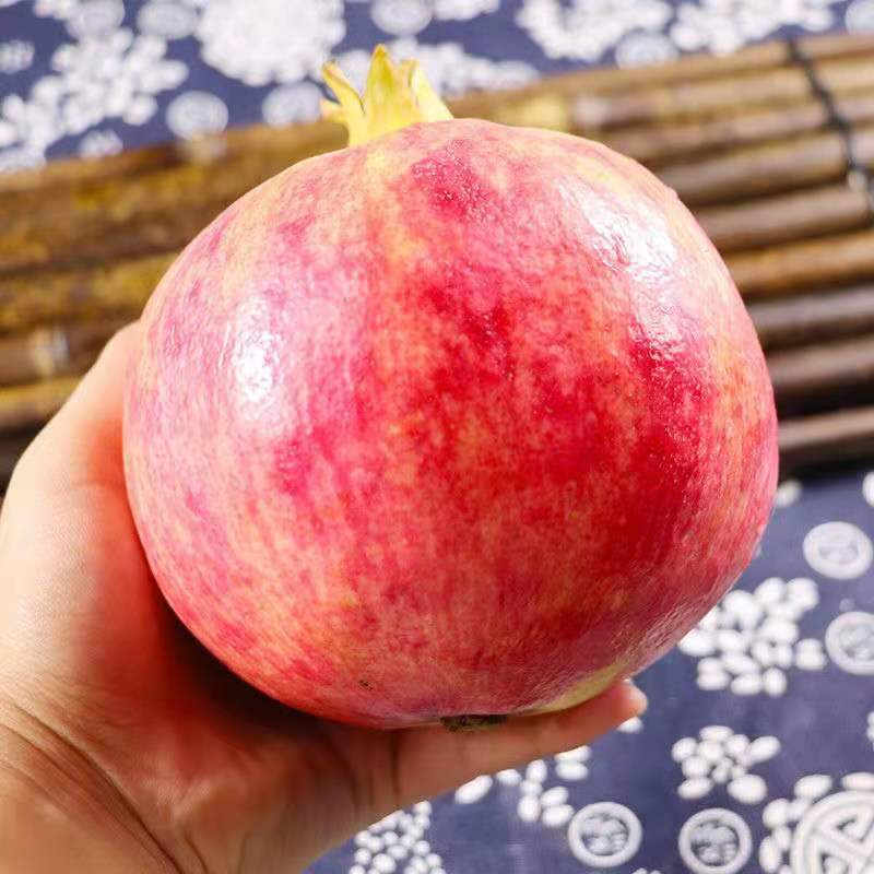 会理软籽石榴精品果450g+顺丰发货一件代发