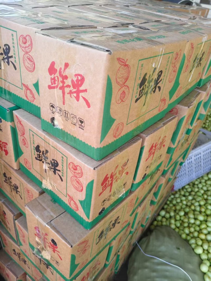 【早脆王】婆枣山东沾化基地直供一手货源质量保证全国发货