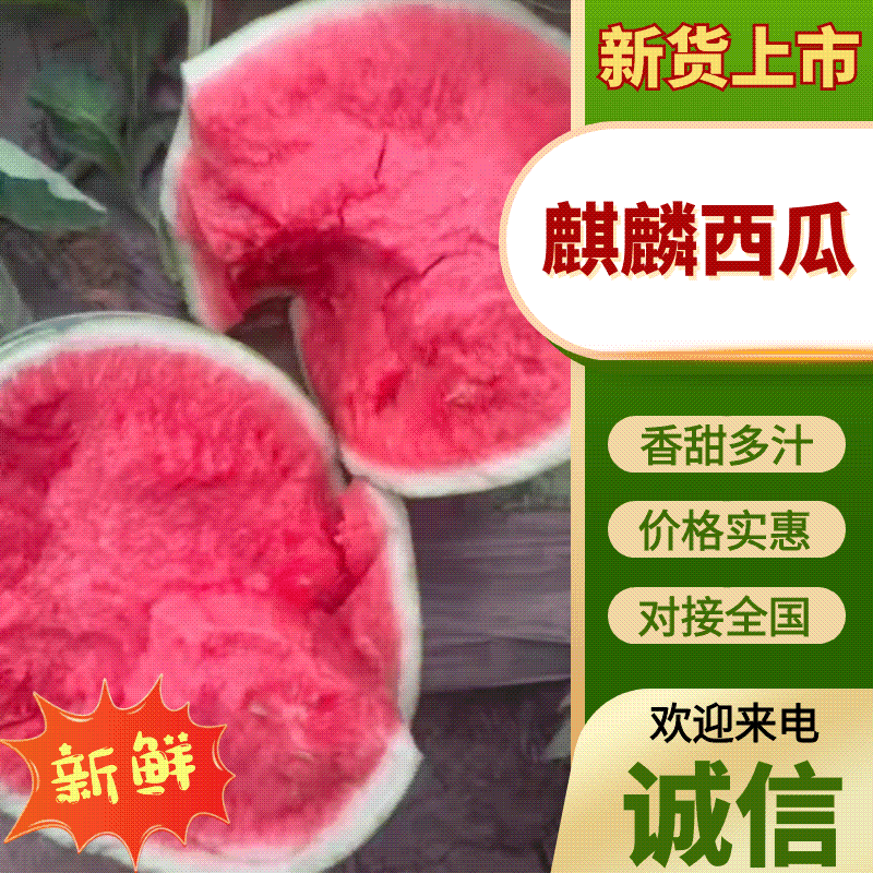 🔥【实力推荐】精品美都|麒麟西瓜/大棚严选