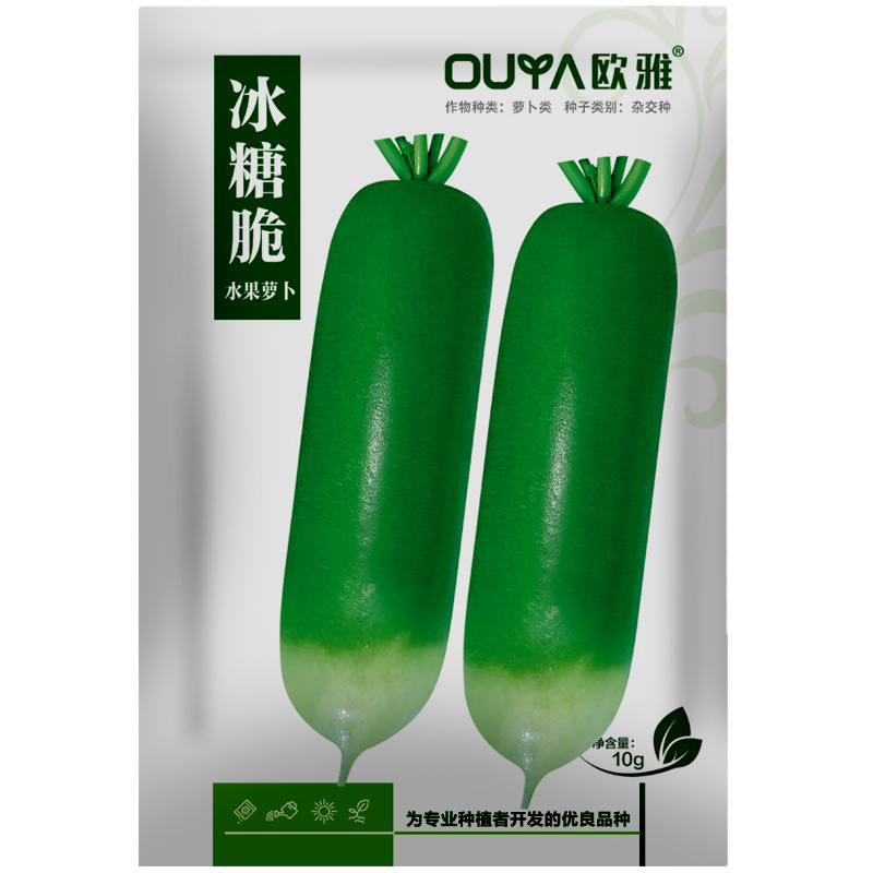 冰糖脆水果萝卜种子青萝卜种籽生吃脆甜绿萝卜凤梨四季水果萝