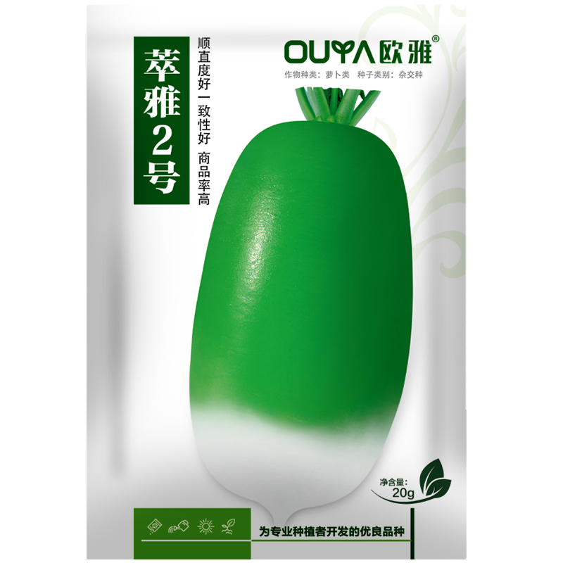 耐热青萝卜种子早熟耐高温青头萝卜种籽河南50天杂交萝卜大