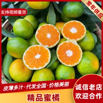 【精选】特早蜜桔云南产区直发保质保量供货