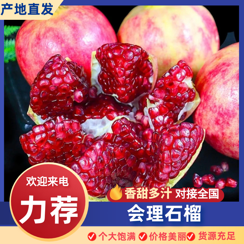 【实力】会理石榴产区直发保质保量供货对接全国