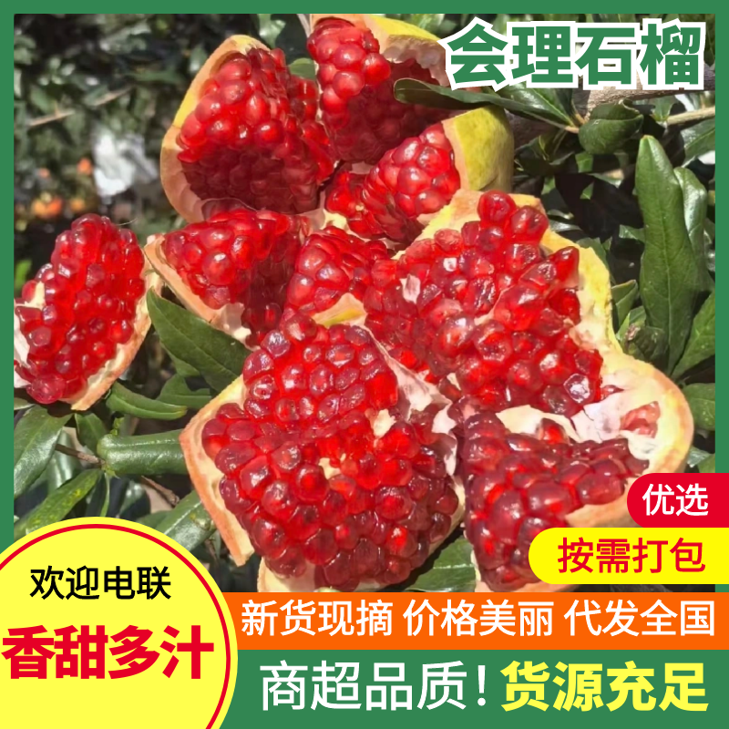 【精选】会理石榴产区直发保质保量供货对接全国电商商超