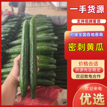 黄瓜