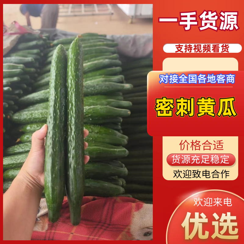 黄瓜