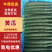 密刺黄瓜品质保证服务周到产地直发