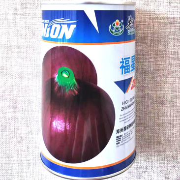 郑研福星洋葱种子紫红鲜亮肉质脆嫩高产优质大果洋葱种籽