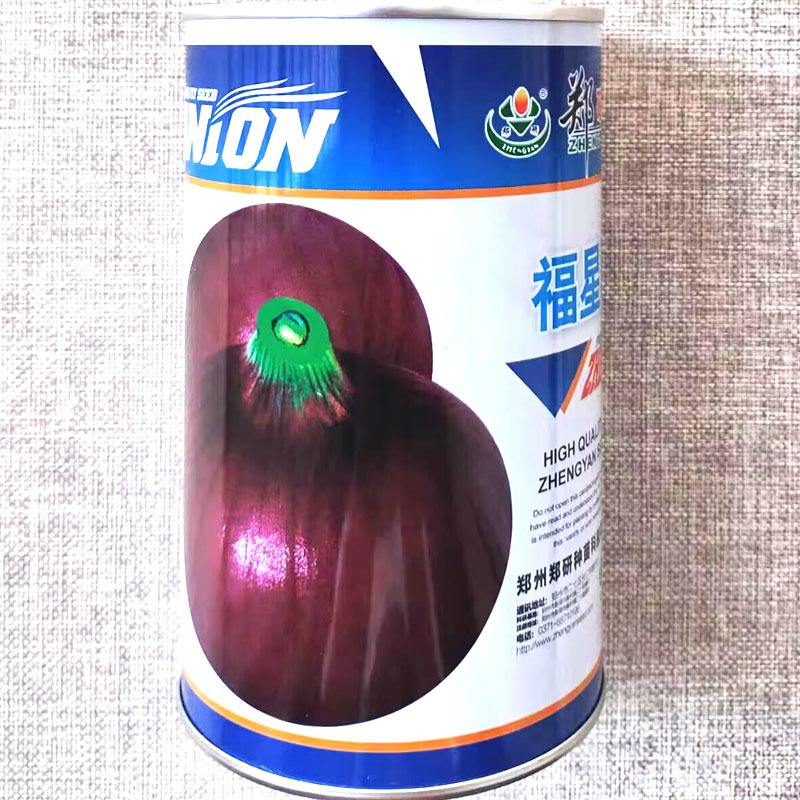郑研福星洋葱种子紫红鲜亮肉质脆嫩高产优质大果洋葱种籽