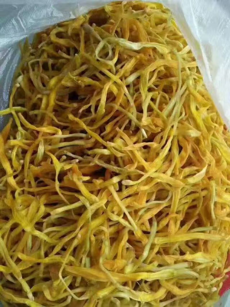 河南千亩黄花菜基地直销量大质优价格优惠欢迎咨询采购