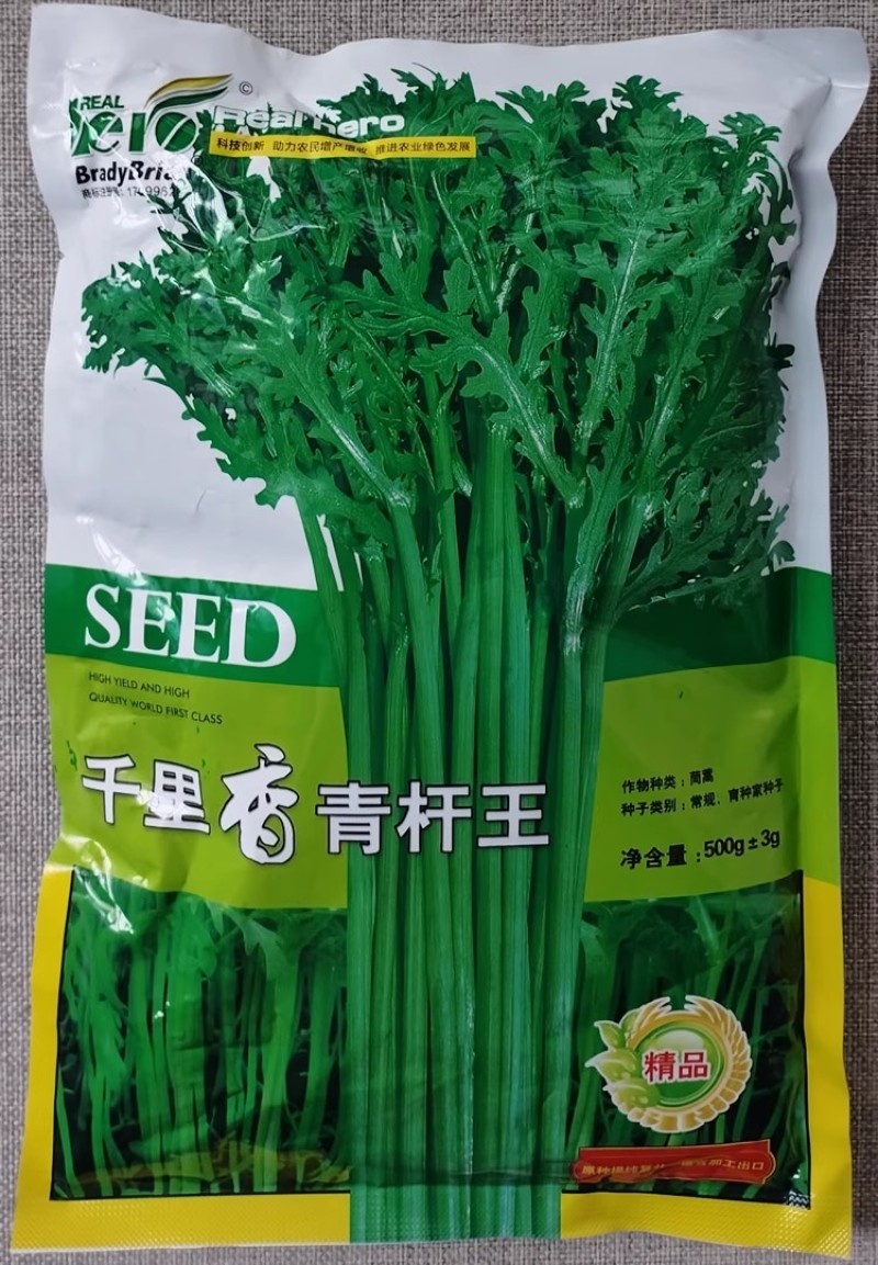 千里香青杆王茼蒿种子清香鲜嫩翠绿茼蒿种籽耐热耐寒喜凉爽