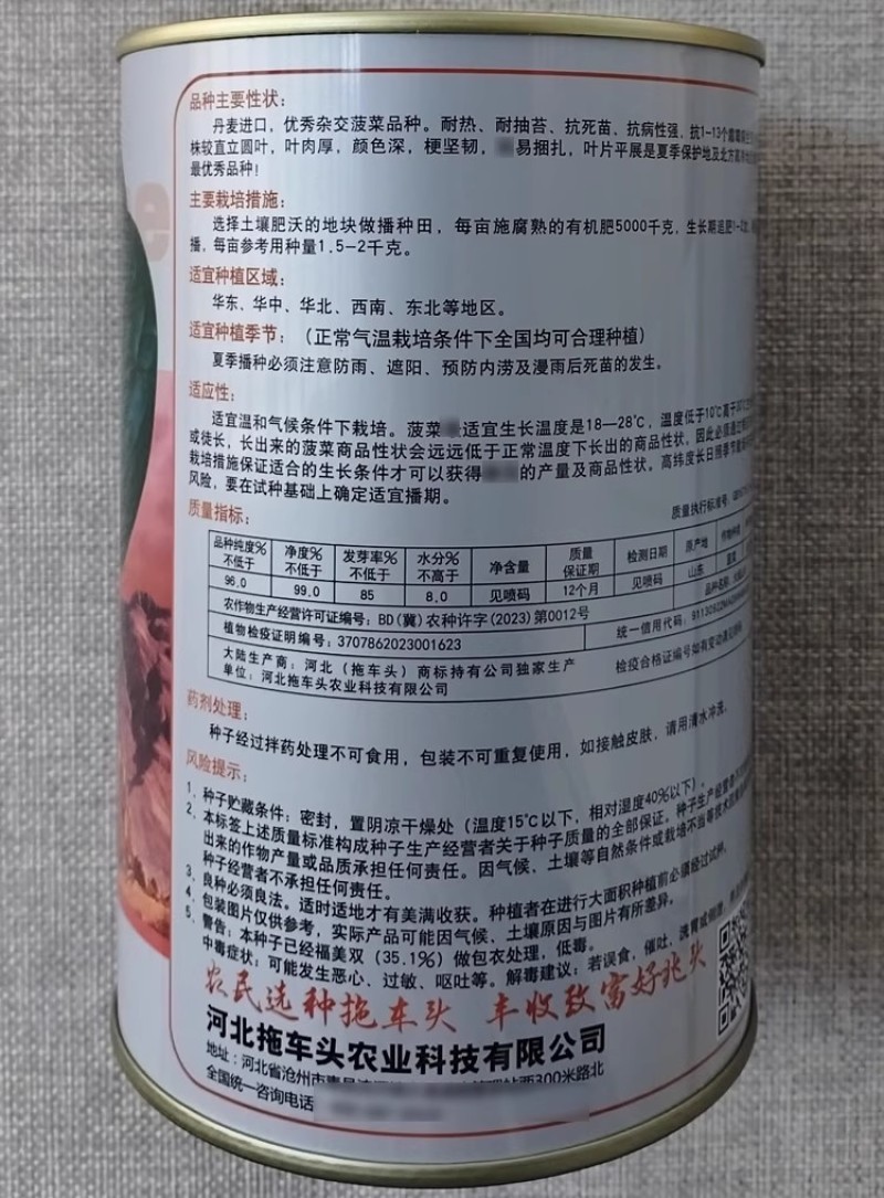 火焰山菠菜种子丹麦杂交墨绿菠菜种籽耐热耐寒抗病越夏菠菜