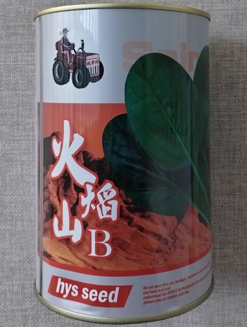 火焰山菠菜种子丹麦杂交墨绿菠菜种籽耐热耐寒抗病越夏菠菜