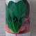 火焰山菠菜种子丹麦杂交墨绿菠菜种籽耐热耐寒抗病越夏菠菜