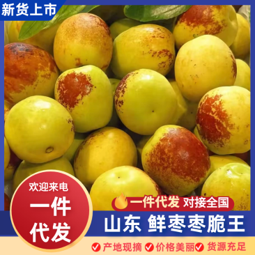 【一件代发】山东鲜枣枣脆王，对接商超市场电商一件代发
