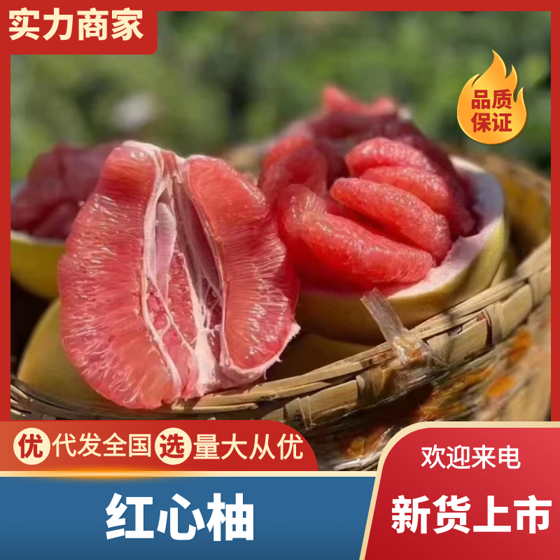 【热卖】红心柚平和县柚子新鲜采摘果肉饱满对接全国