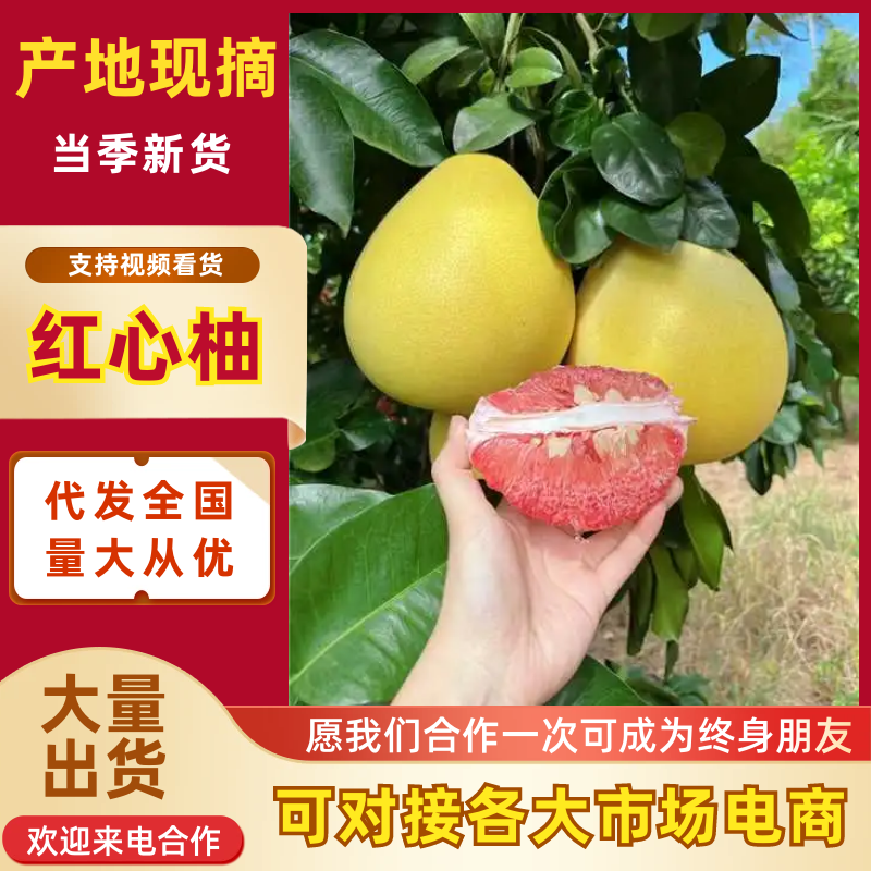 红心柚柚子果园直发品质保障对接电商社区团购