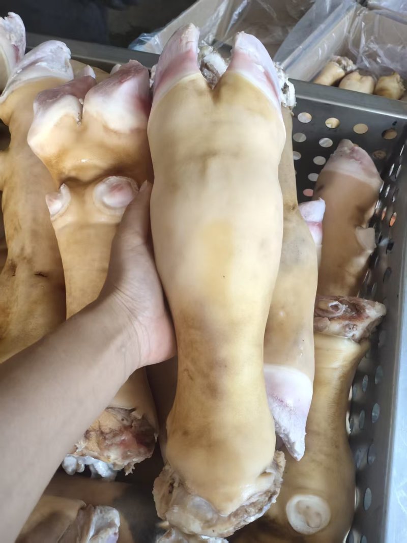 牛蹄火烧去毛牛蹄大量供应品质保证对接全国市场电商