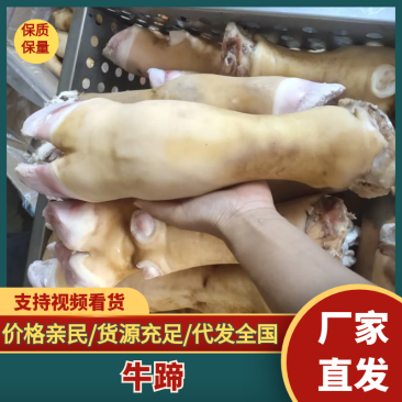 牛蹄火烧去毛牛蹄大量供应品质保证对接全国市场电商