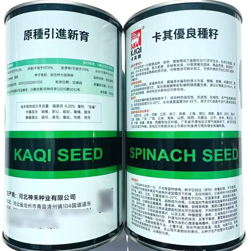 烈日金刚大叶菠菜种子杂交耐热菠菜耐抽苔叶色浓绿基地种植
