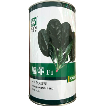 墨菲杂交菠菜种子直立性好叶甜质嫩易捆扎耐热耐寒大叶菠菜种